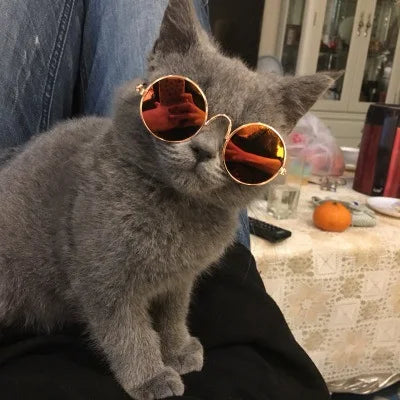 Okulary retro dla psa i kota — chroni oczy przed słońcem