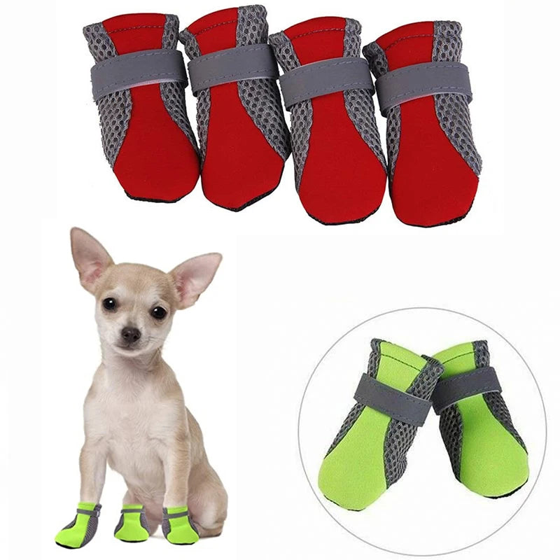 Buty letnie dla psa — oddychające i bezpieczne w nocy