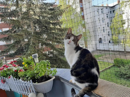 Siatka ochronna dla kota — bezpieczny balkon bez ucieczki