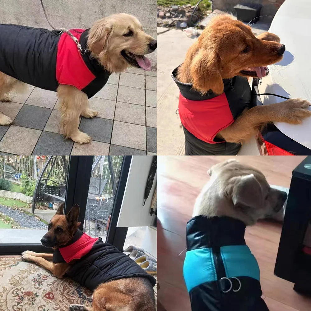 Wodoodporna kurtka dla psa na zamek — rozmiary od XS do 6XL