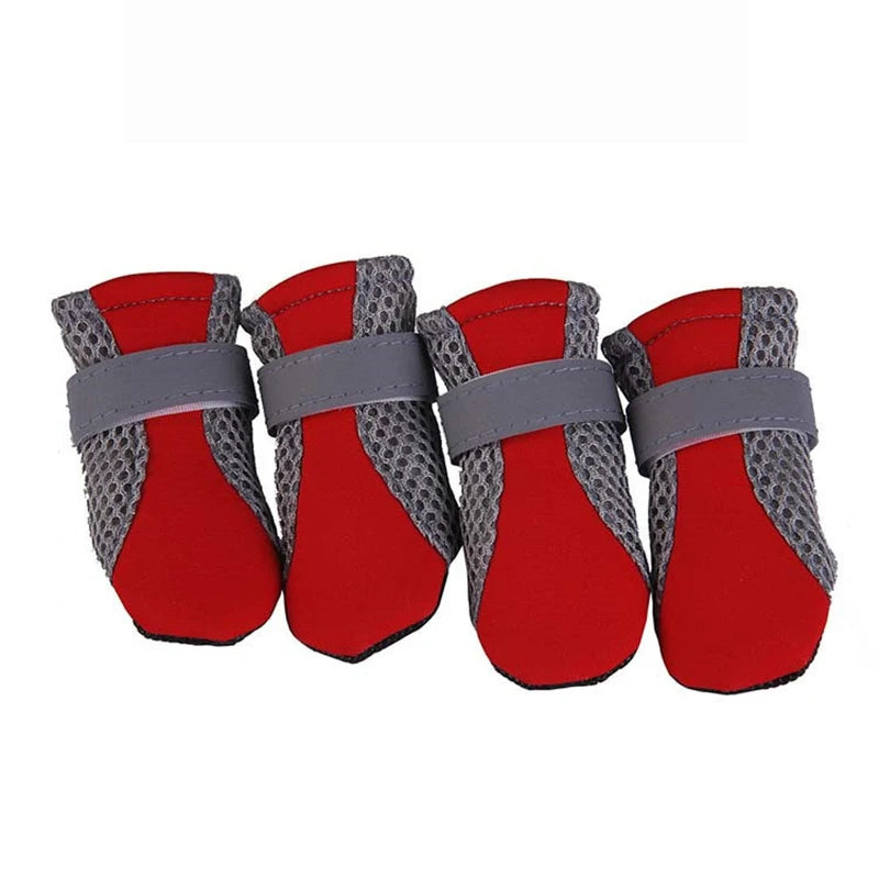 Buty letnie dla psa — oddychające i bezpieczne w nocy