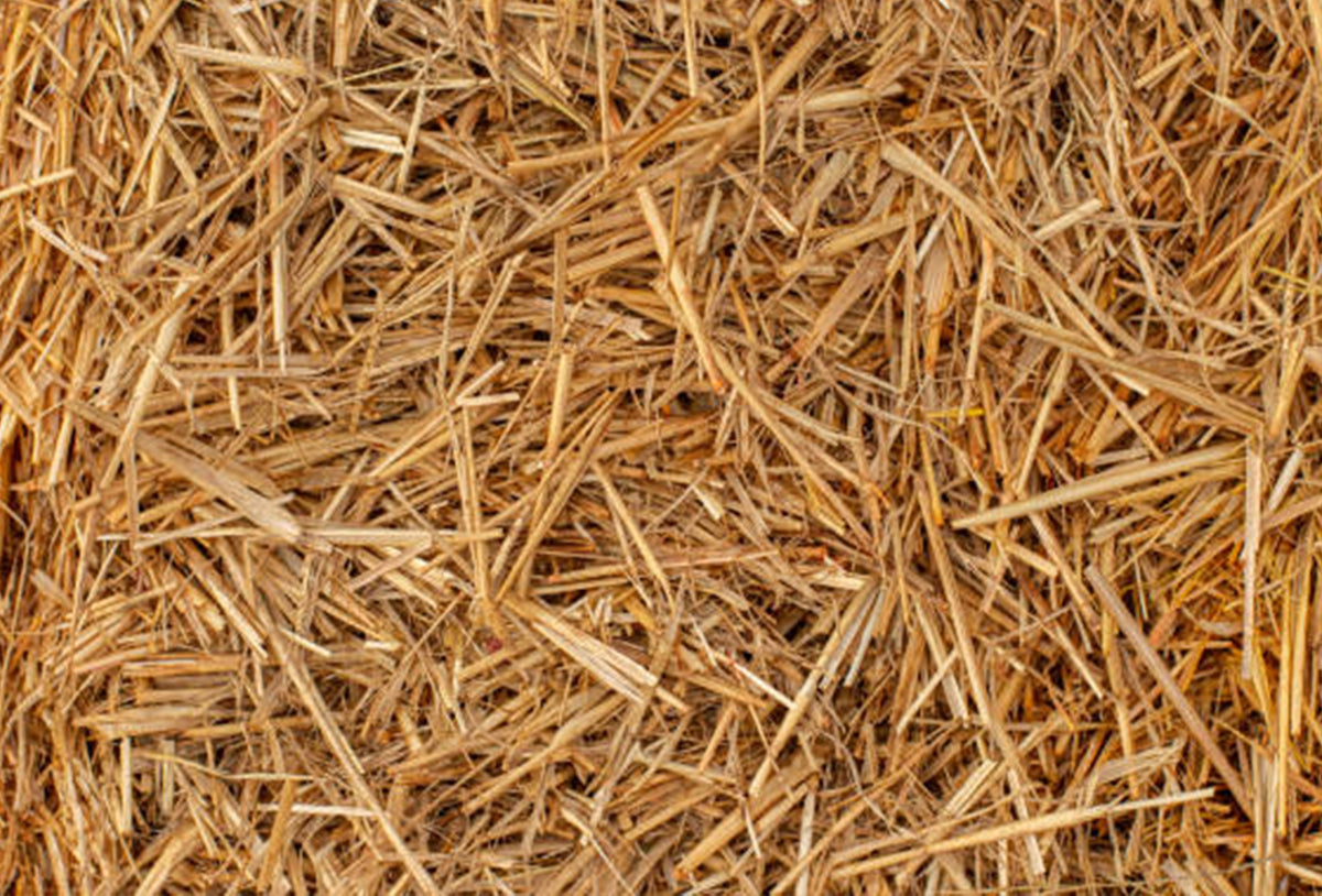 Słoma do budy dla psa 170 l – duża kostka, naturalna ściółka ocieplająca, XXL