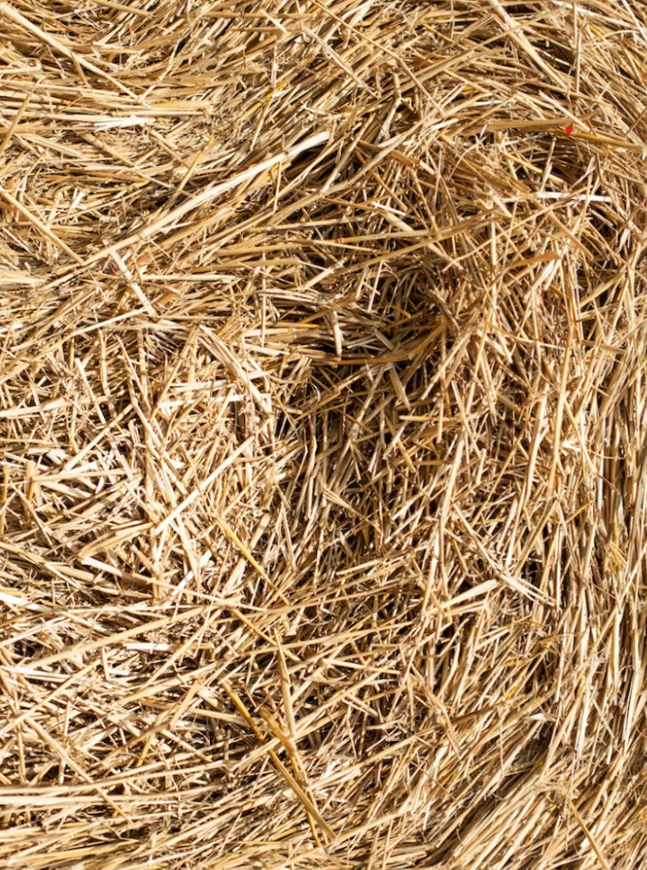 Słoma do budy dla psa 170 l – duża kostka, naturalna ściółka ocieplająca, XXL
