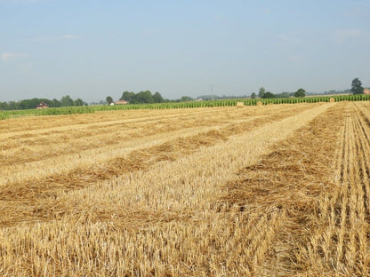 Słoma w kostce 7 kg – naturalna ściółka do budy psa, kojca i kurnika, ok. 240 l