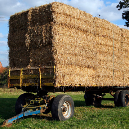 Słoma dla psa do budy – ściółka i legowisko w kostce 112 l, 75 x 50 cm, naturalna