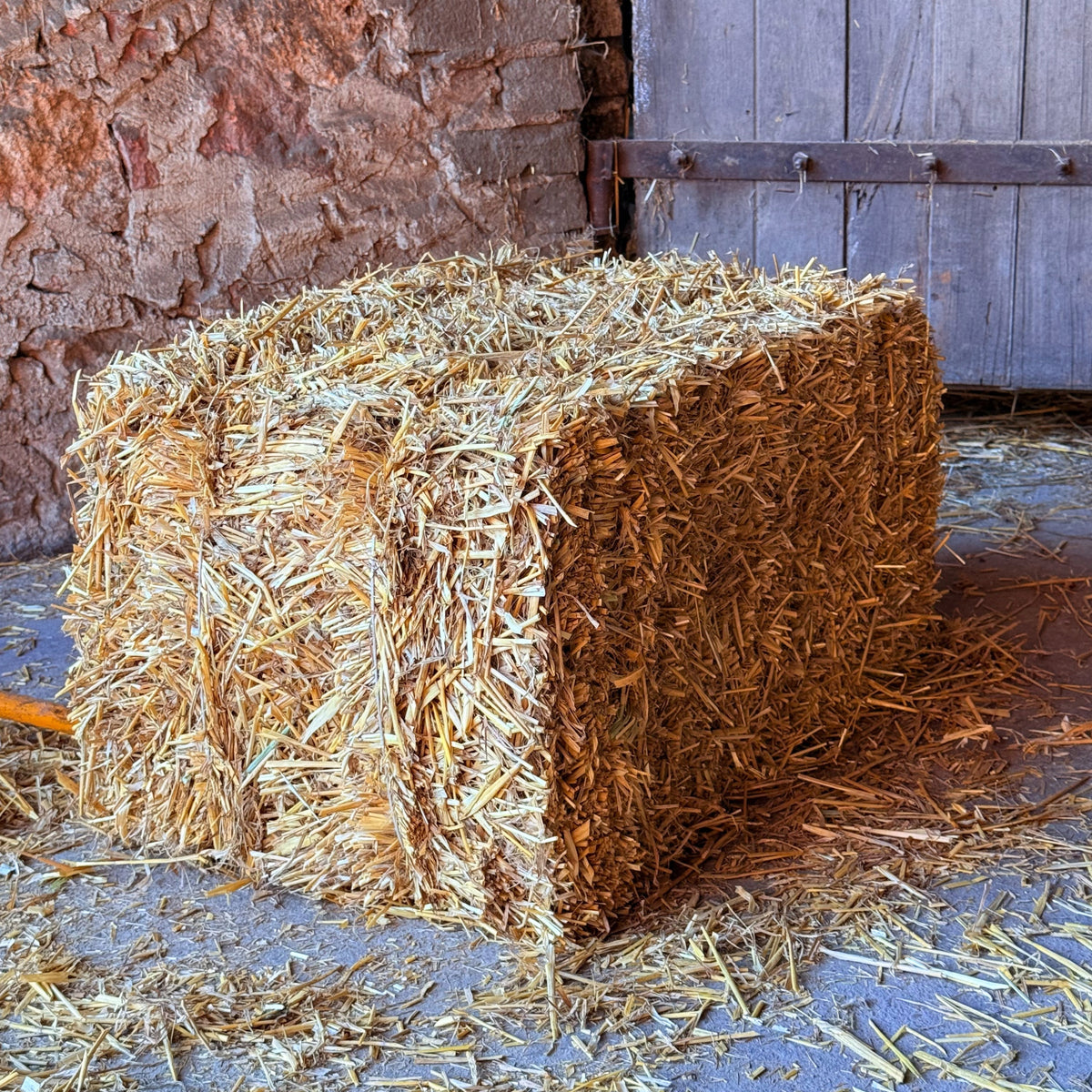Słoma dla psa do budy – ściółka i legowisko w kostce 112 l, 75 x 50 cm, naturalna