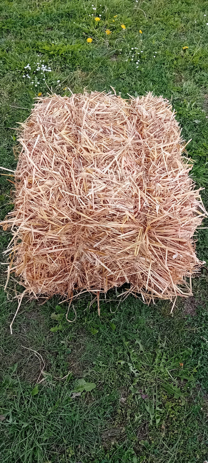 Słoma pszenna 7 kg – naturalna ściółka dla królików, gryzoni i drobiu, kostka w kartonie