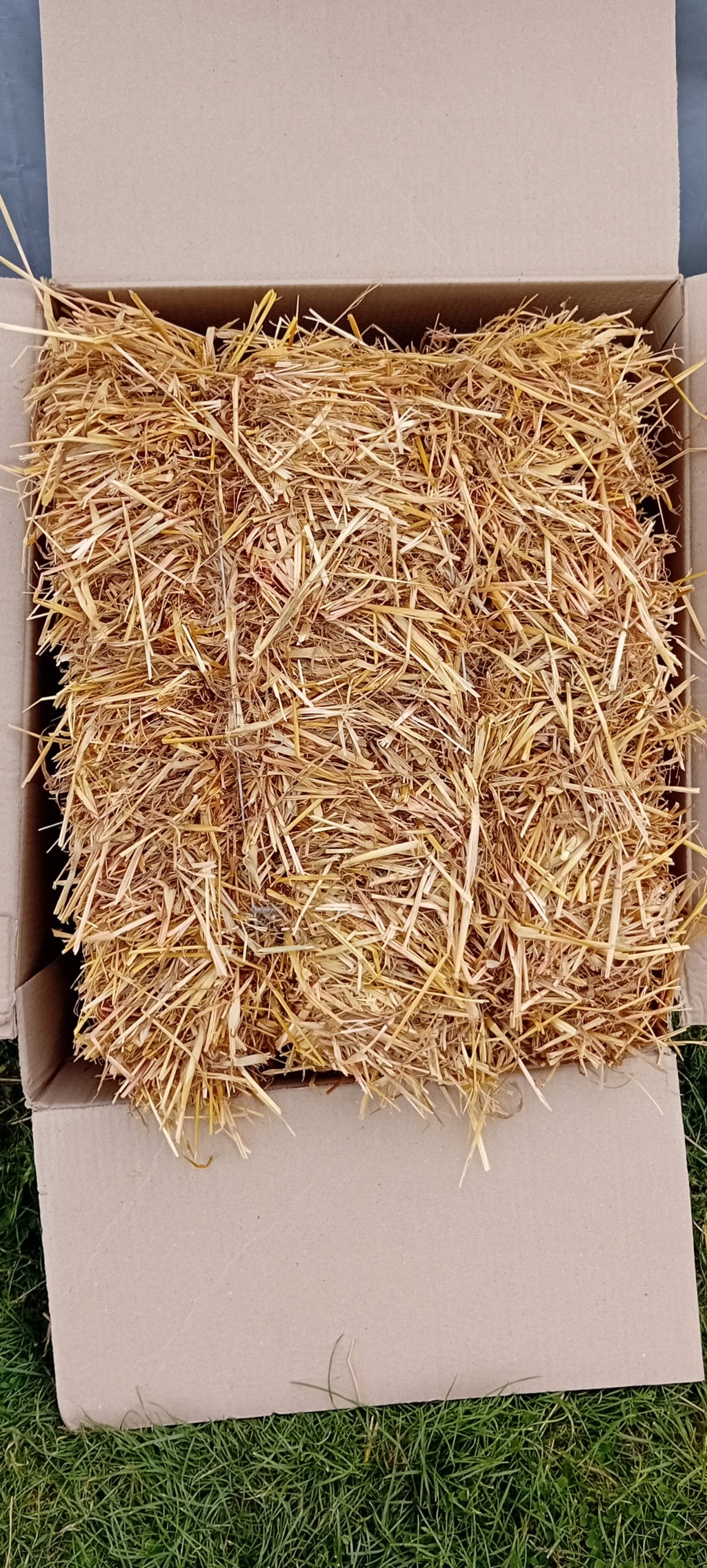 Słoma pszenna 7 kg – naturalna ściółka dla królików, gryzoni i drobiu, kostka w kartonie