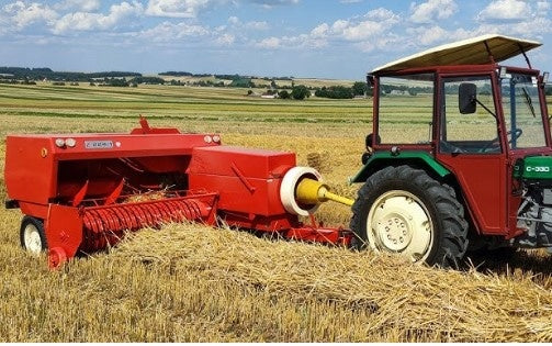 Słoma pszenna 7 kg – naturalna ściółka dla królików, gryzoni i drobiu, kostka w kartonie
