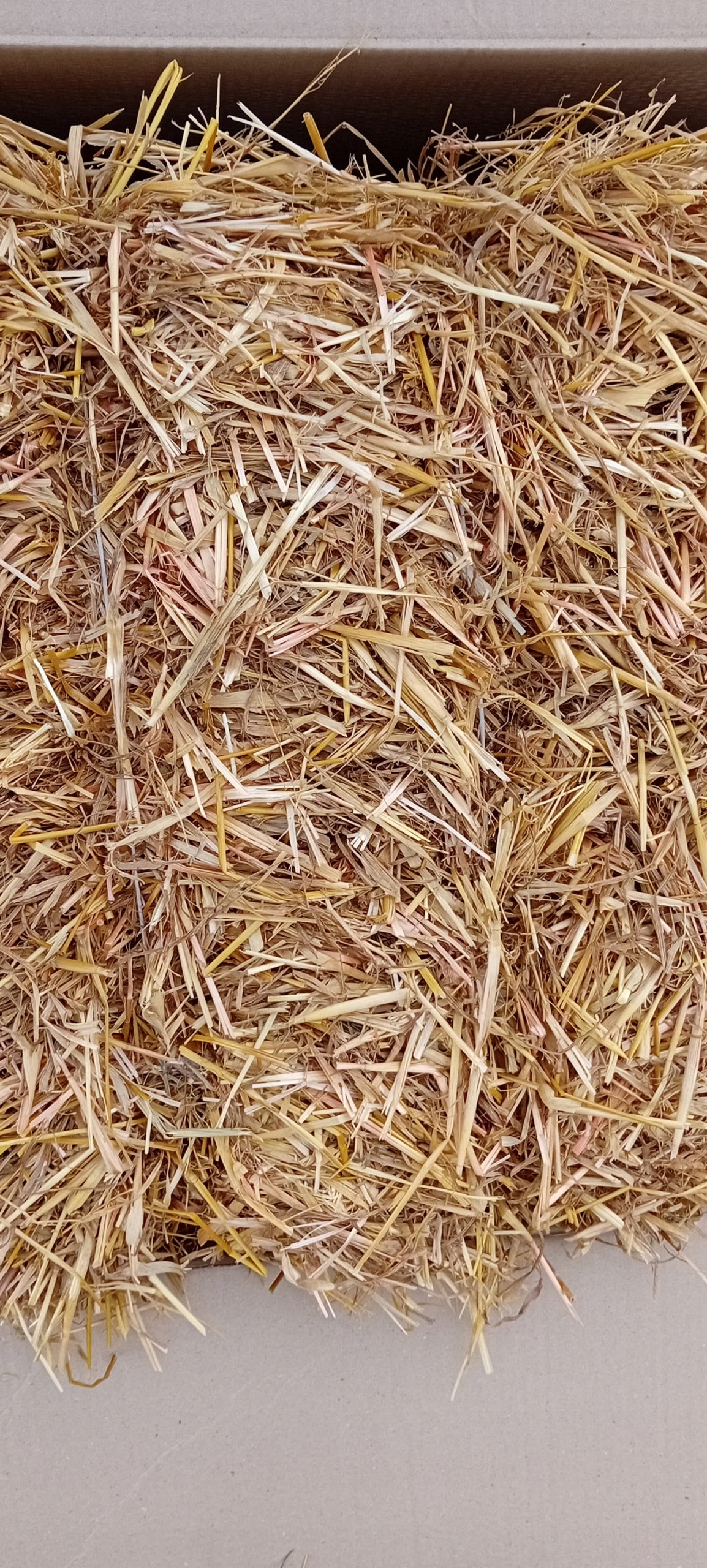 Słoma pszenna 7 kg – naturalna ściółka dla królików, gryzoni i drobiu, kostka w kartonie