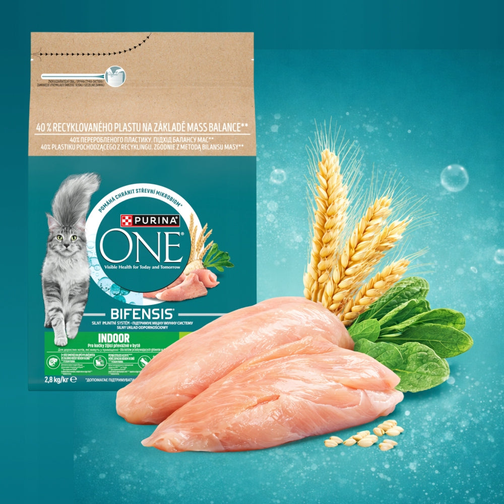 Purina One Indoor sucha karma dla kota z indykiem 2,8 kg – dla dorosłych kotów domowych