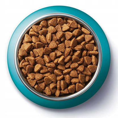 Purina One Indoor sucha karma dla kota z indykiem 2,8 kg – dla dorosłych kotów domowych