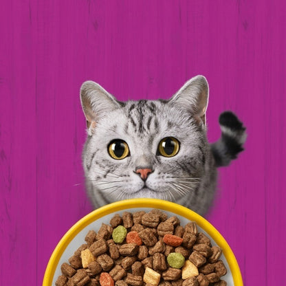 Whiskas Adult sucha karma dla kota z kurczakiem 7 kg – z tauryną i witaminą E