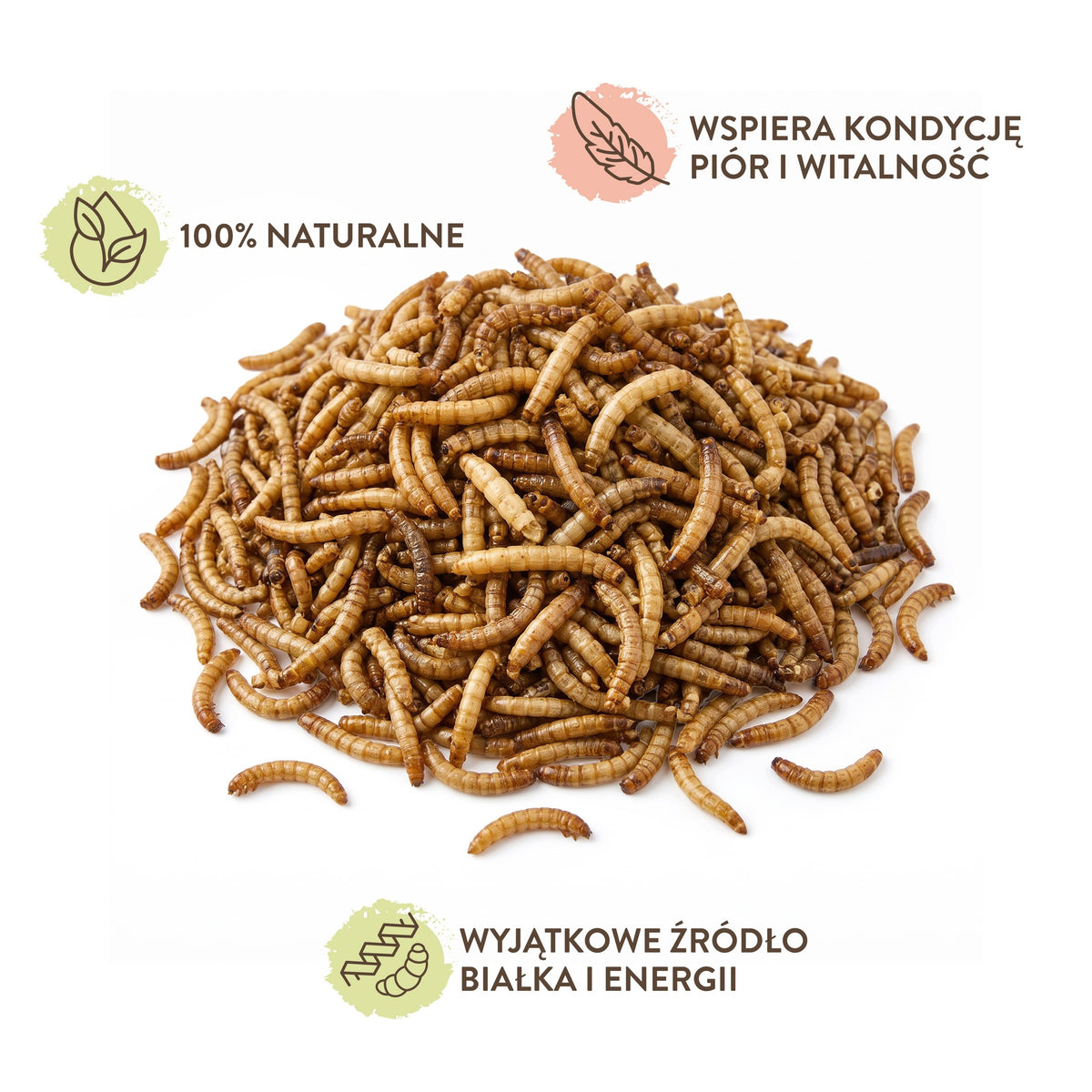 BirdFit suszone larwy mącznika młynarka 300 g – naturalny pokarm białkowy dla ptaków
