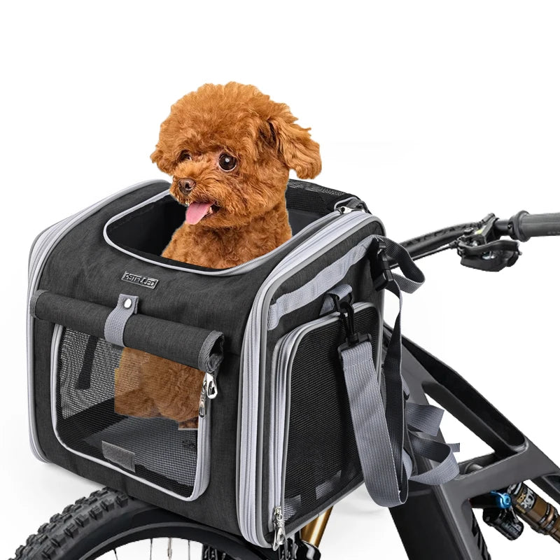 Rowerowy plecak dla psa i kota — bezpieczna podróż na rowerze