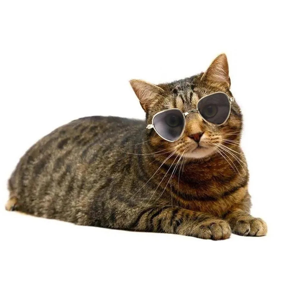 Stylowe okulary dla psa/kota — chroni oczy przed słońcem