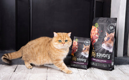 Savory sucha karma dla kota sterylizowanego 2 kg bezzbożowa – jagnięcina z kurczakiem