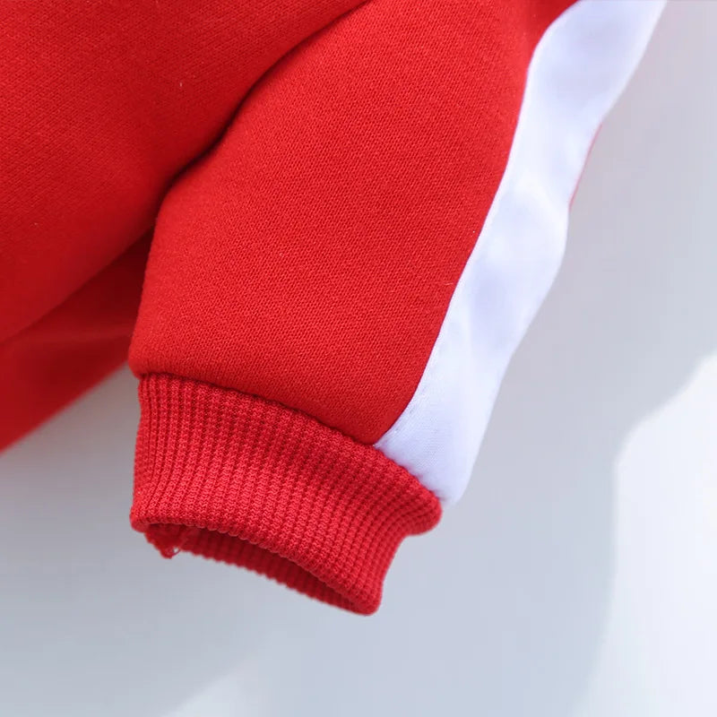 Sportowa bluza dla psa z zamkiem — ściągacze i krój dla małych ras
