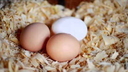 Peer-Span ściółka z wiórów świerkowych 23 kg – bezpyłowa, wydajność 600 l, balot