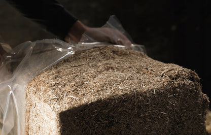 Ściółka lniana dla gryzoni, królików i drobiu 20 kg, bezpyłowa, wiąże amoniak – balot