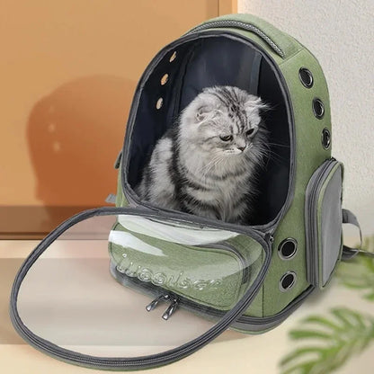 Plecak dla kota z okienkiem — pupilek widzi świat
