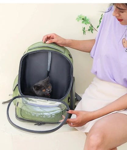 Plecak dla kota z okienkiem — pupilek widzi świat