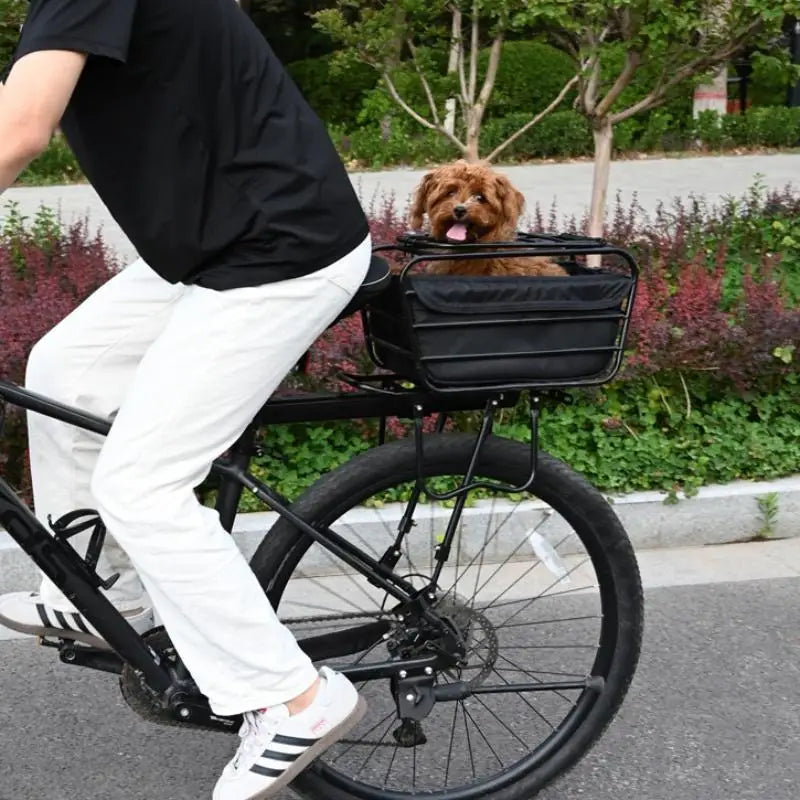 Koszyk rowerowy dla psa i kota — wygodny transport na wyprawach