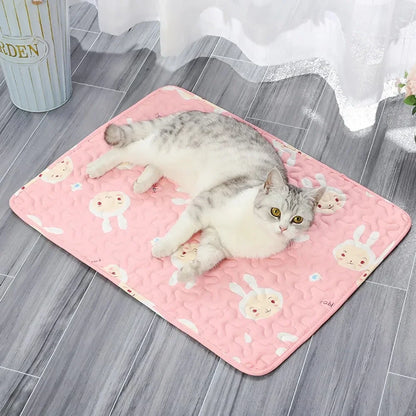 Chłodząca mata dla psa i kota — idealna na upały