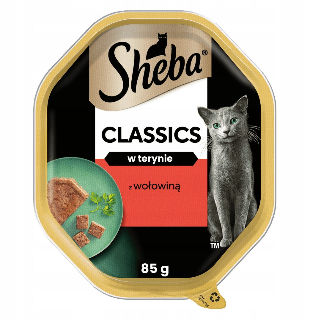 Sheba Classics mokra karma dla kota z wołowiną w terynie 44 x 85 g – tacki