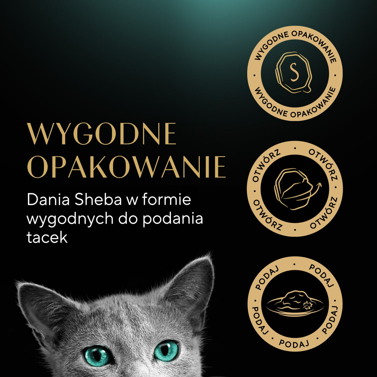 Sheba Finesse mokra karma dla kota z kurczakiem 22 x 85 g – pasztet w tacce, dla dorosłych