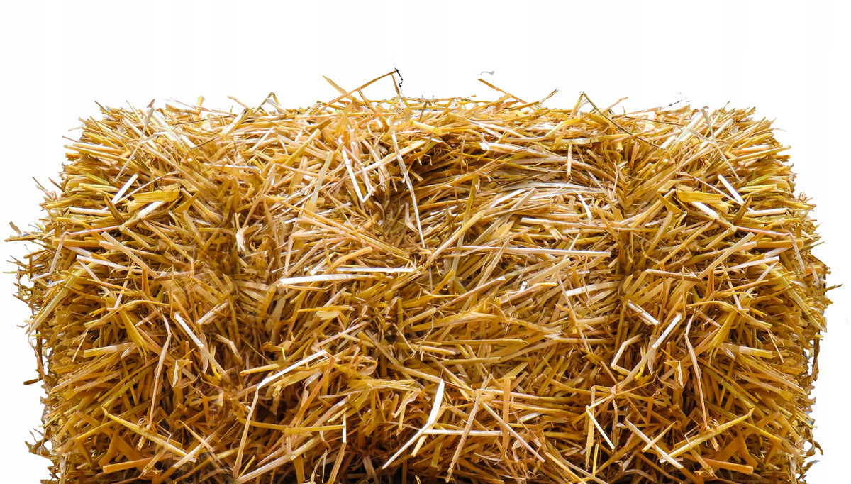Słoma w kostce 10 kg – naturalna wyściółka dla psa, kota, królika i kur, do ogrodu – żółta
