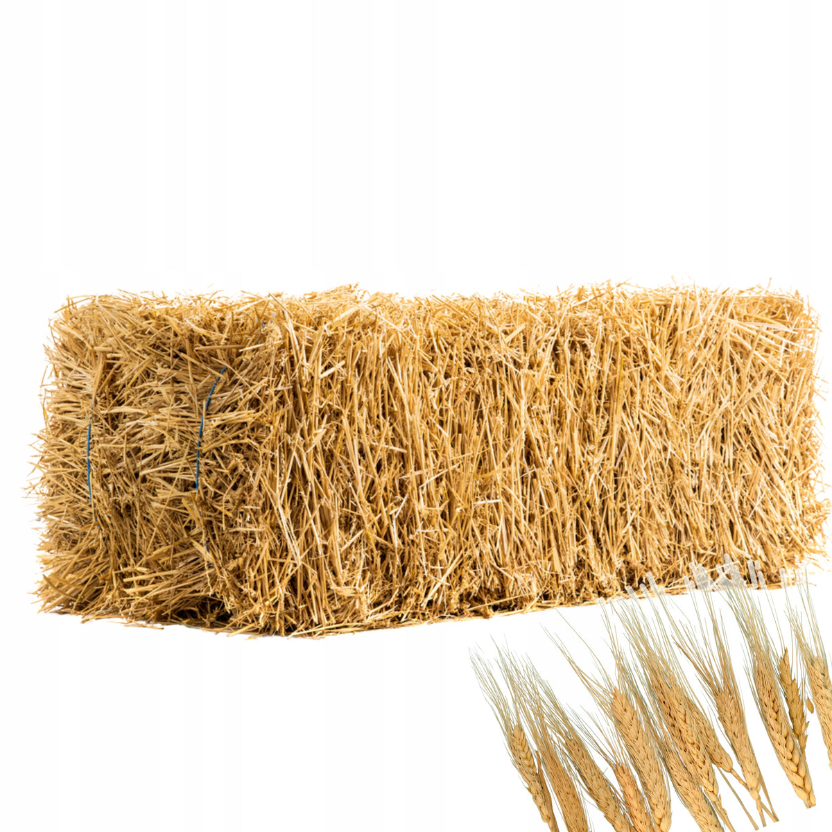 Słoma w kostce 10 kg – naturalna wyściółka dla psa, kota, królika i kur, do ogrodu – żółta