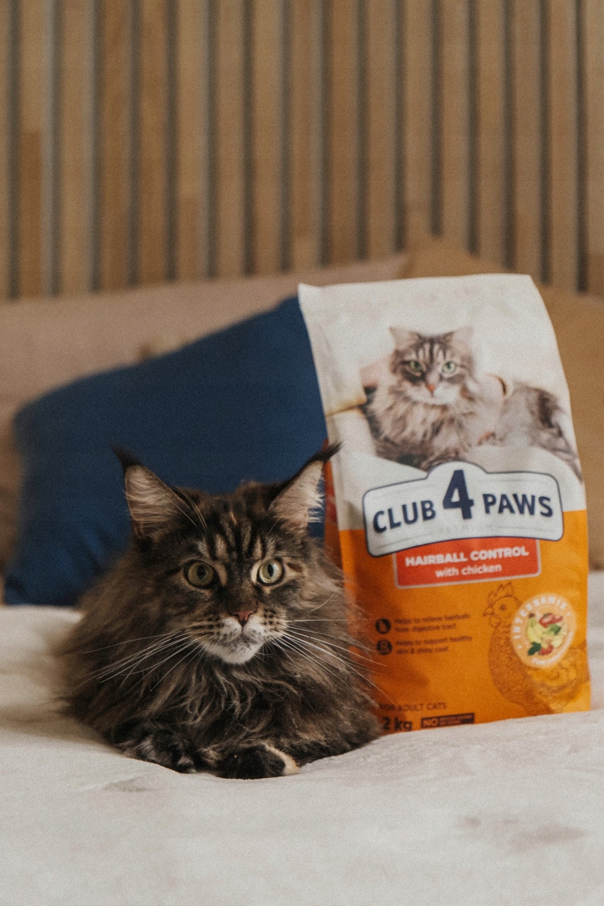 Club 4 Paws Premium sucha karma dla kota Urinary 2 kg – z kurczakiem, dla kotów dorosłych