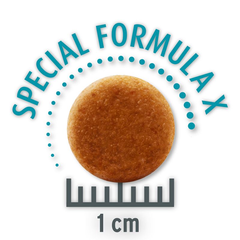 Concept for Life Sensitive Cats sucha karma dla kota 10 kg – z drobiem i ryżem, dla dorosłych