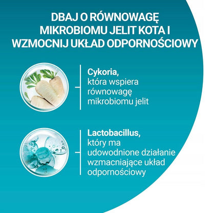 Purina ONE Indoor Formula sucha karma dla kota 2,8 kg – indyk, dla kotów domowych, 2 szt.