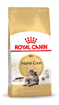 Royal Canin Maine Coon Adult sucha karma dla kota 10 kg – z kurczakiem i prebiotykiem