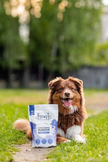 BEMO Flexi Joints Junior suplement na stawy dla psa 150 g – kolagen dla młodych psów, proszek
