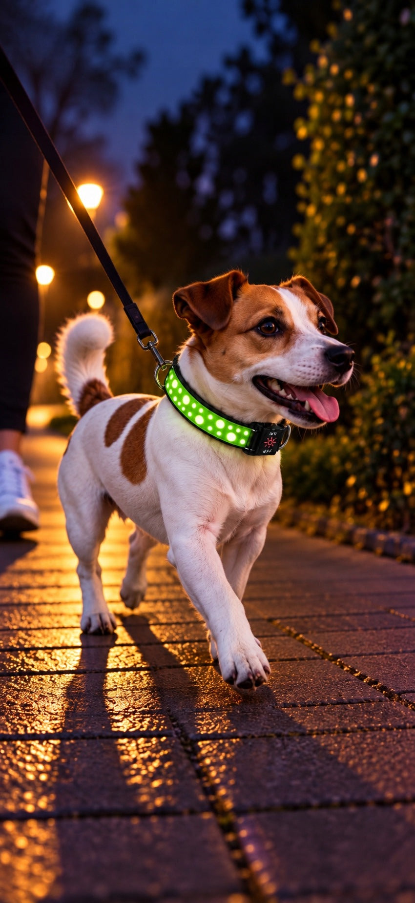 Świecąca obroża LED dla psa ładowana przez USB, 3 tryby świecenia – rozmiar S, 30-40 cm