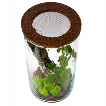 Terrarium dla patyczaków 6 l szklane 30 cm – zestaw z pokrywą korkową i wyposażeniem