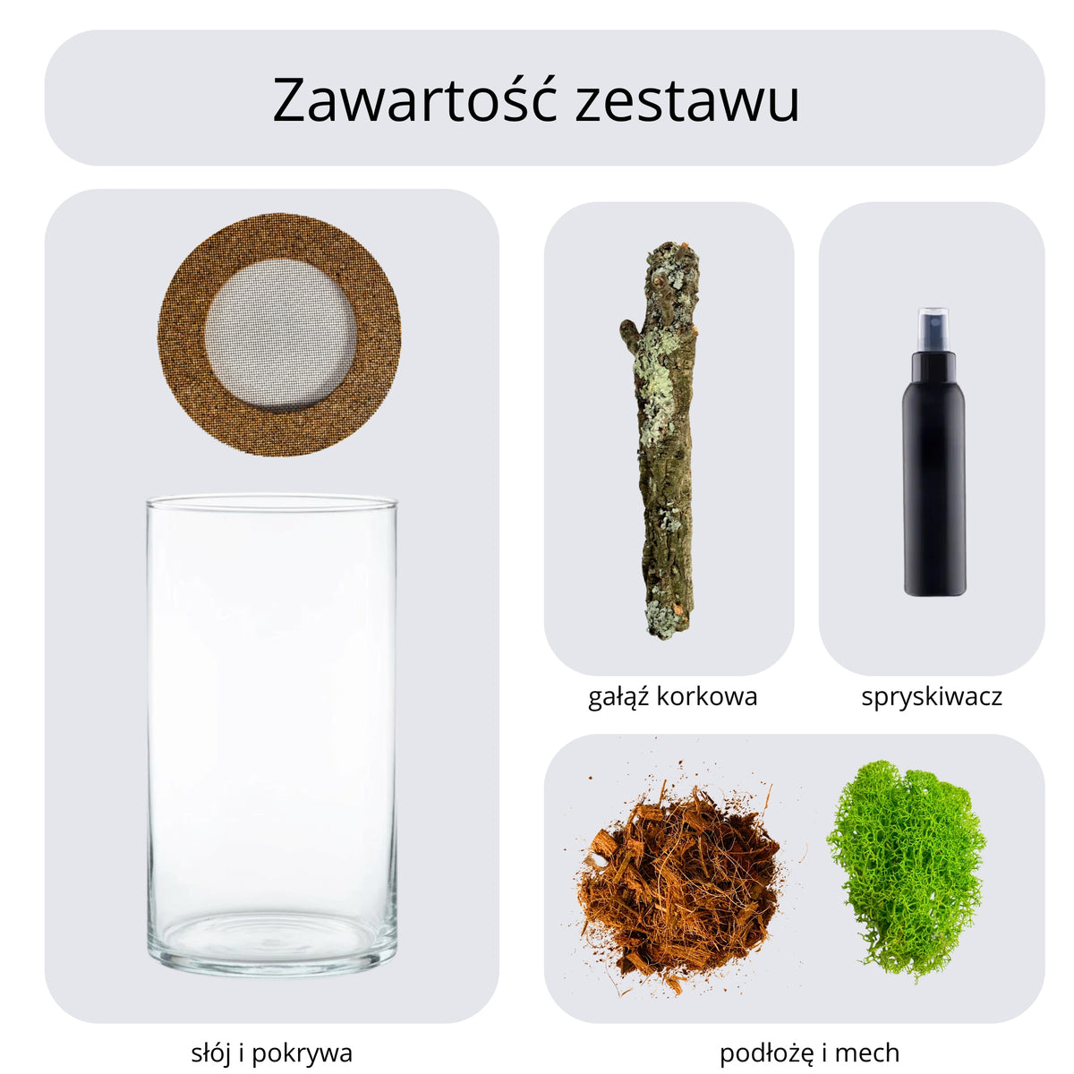 Terrarium dla patyczaków 6 l szklane 30 cm – zestaw z pokrywą korkową i wyposażeniem