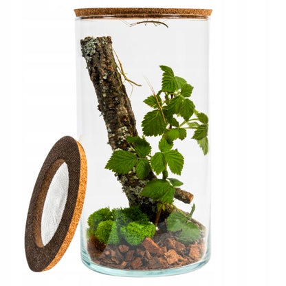 Terrarium dla patyczaków 6 l szklane 30 cm – zestaw z pokrywą korkową i wyposażeniem