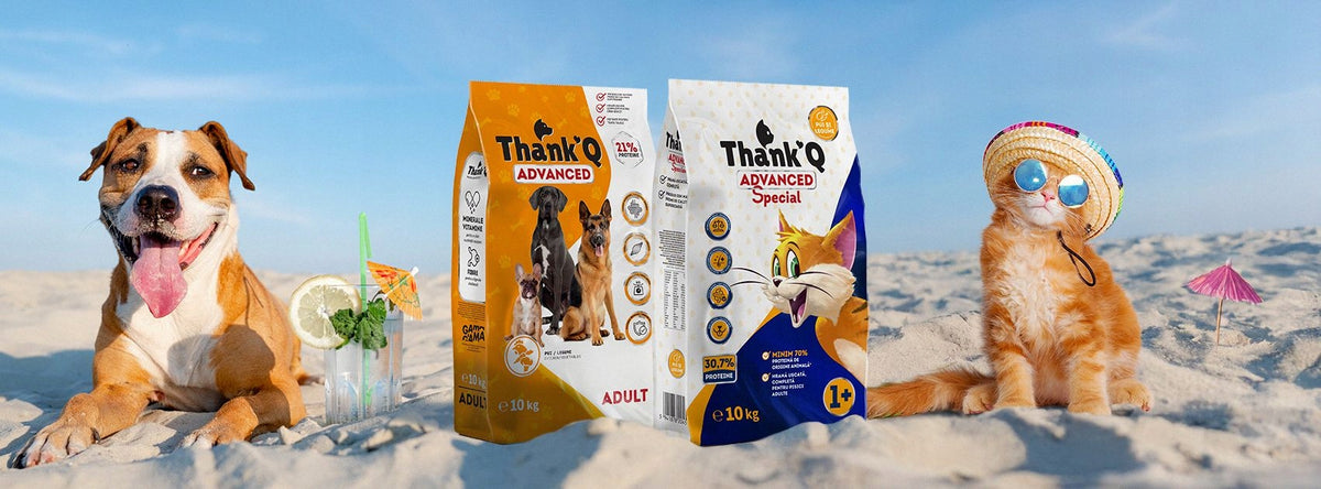 Thank'Q Advanced sucha karma dla kota 10 kg z kurczakiem i warzywami – wysokobiałkowa