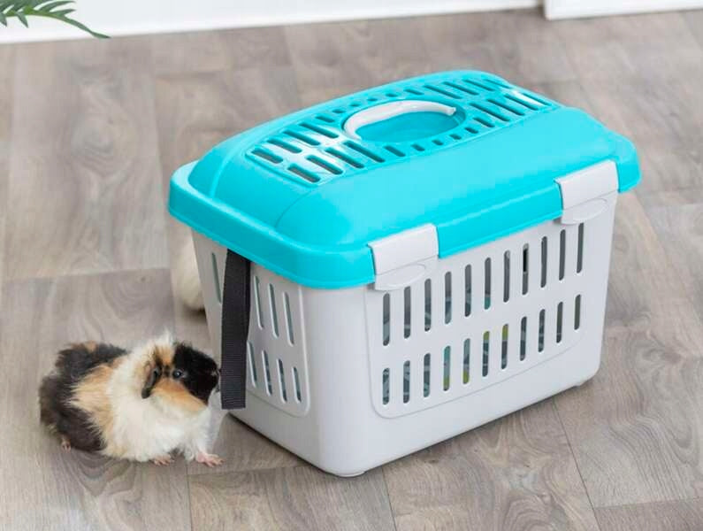 Trixie Transporter dla kota i psa do 5 kg Midi-Capri otwierany od góry – szaro-turkusowy
