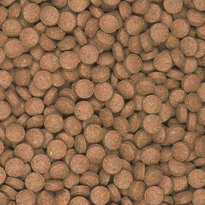 Supervit Tablets B pokarm dla ryb dennych 250 ml – tonące tabletki z beta-glukanem