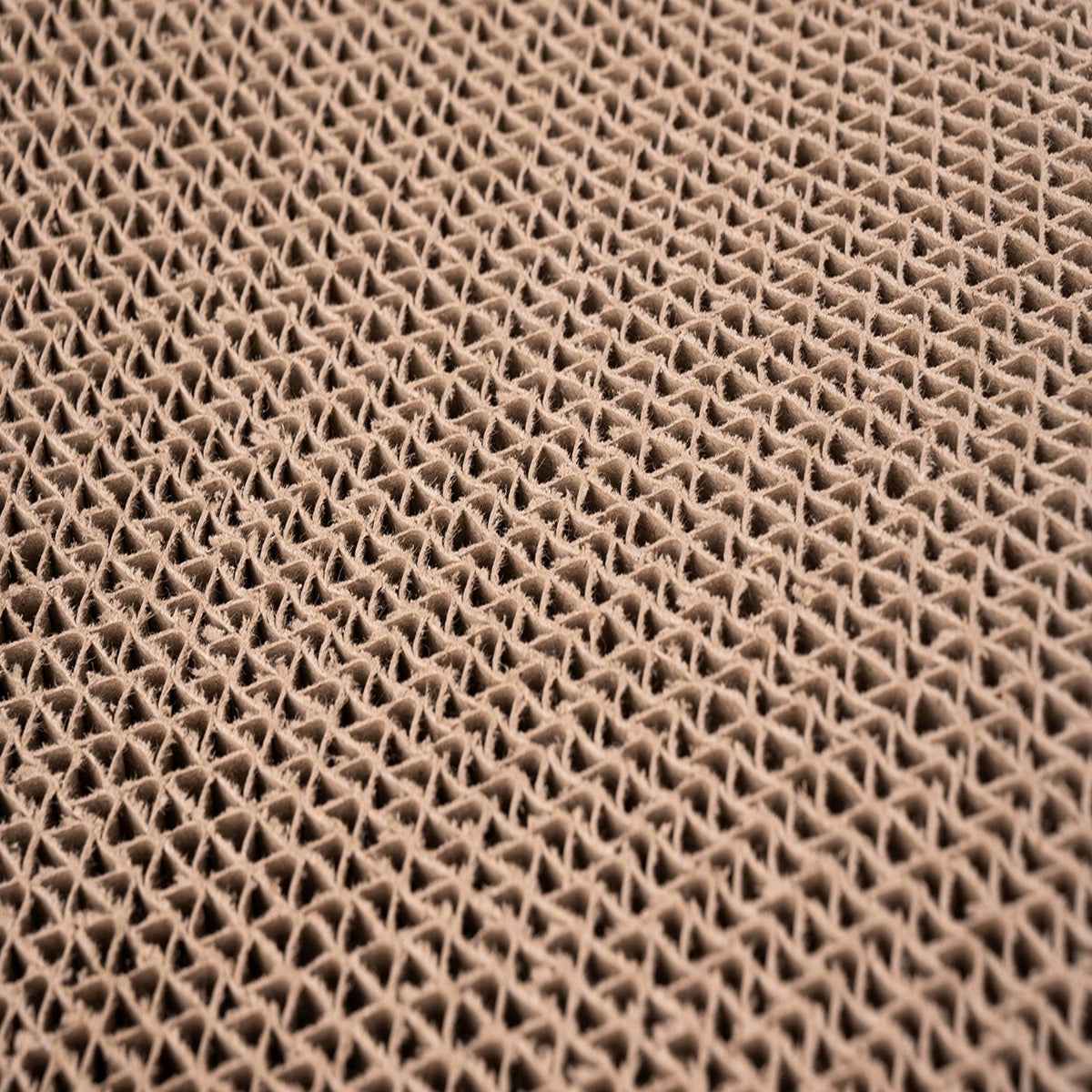 Nobleza Wkład wymienny do drapaka kartonowego 41 x 29 cm, 4 szt. z kocimiętką – brązowy