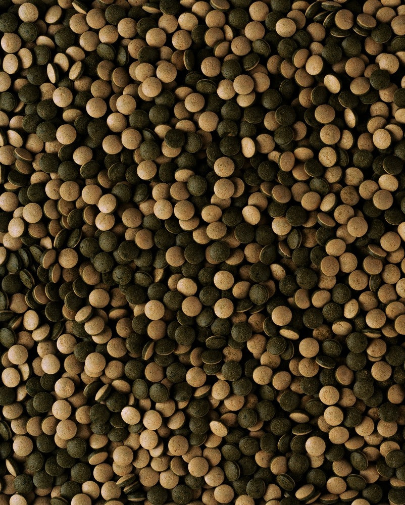 Tetra Pleco Tablets pokarm dla ryb dennych i roślinożernych 275 tabletek – 85 g