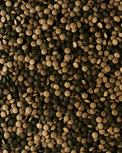 Tetra Pleco Tablets pokarm dla ryb dennych i roślinożernych 275 tabletek – 85 g