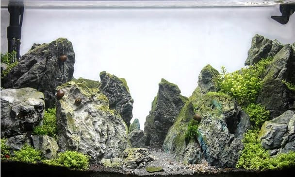 TD Stones Tło do akwarium samoprzylepne 100x50 cm, wodoodporna folia zewnętrzna – białe