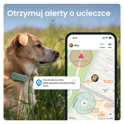 Tractive DOG 6 lokalizator GPS dla psa z LTE, wodoodporny IP68, 39 g – miętowy