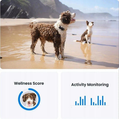 Tractive DOG 6 lokalizator GPS dla psa z LTE, wodoodporny IP68, 39 g – miętowy